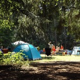 快適なキャンプの必需品であるタープの選び方！