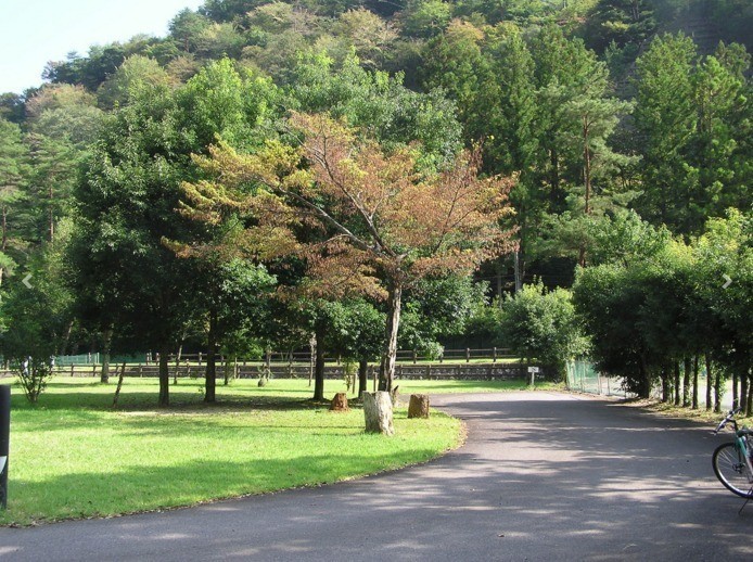 下北山スポーツ公園キャンプ場